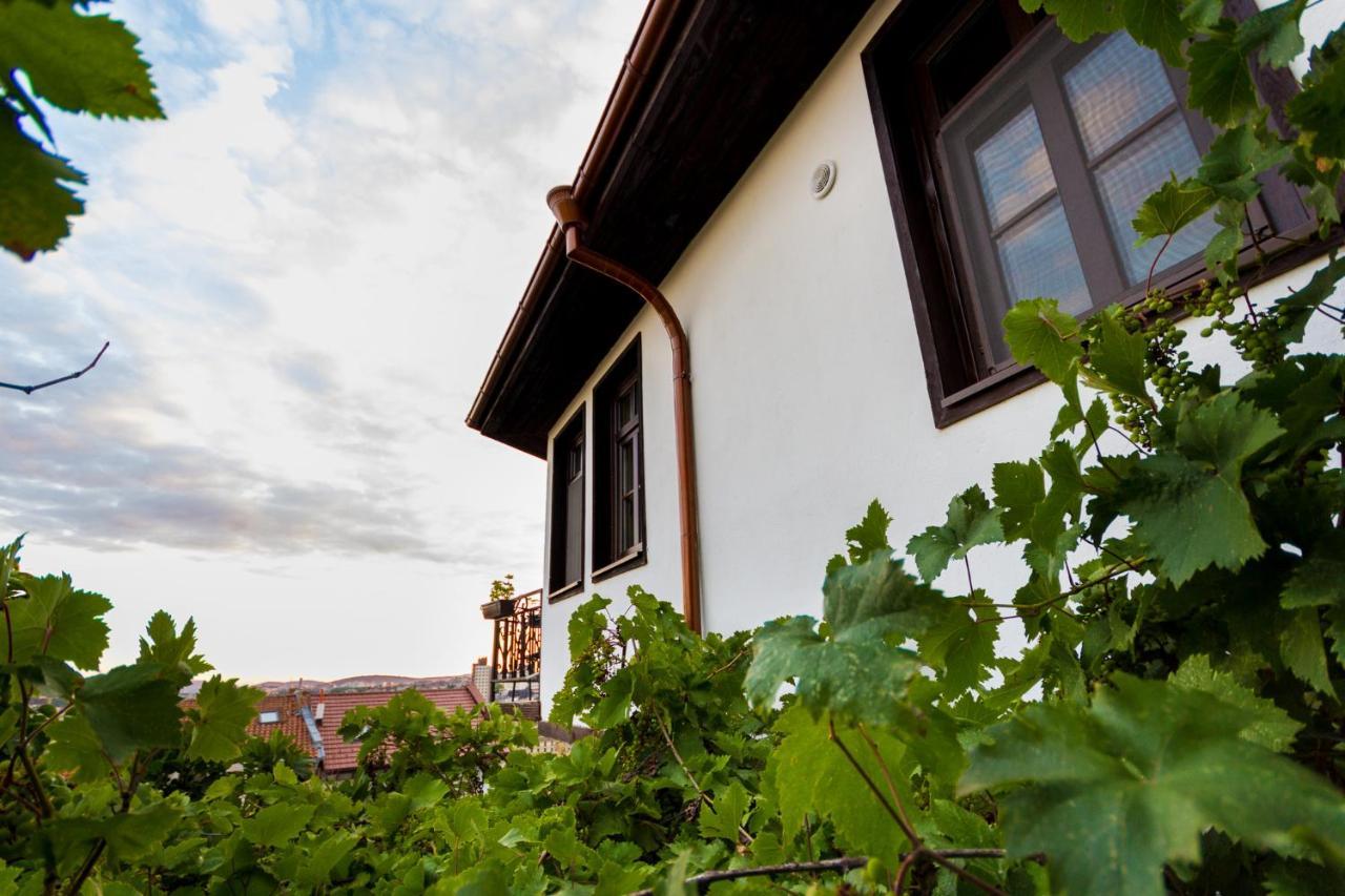 Apartment Zdravets Veliko Tarnovo Buitenkant foto